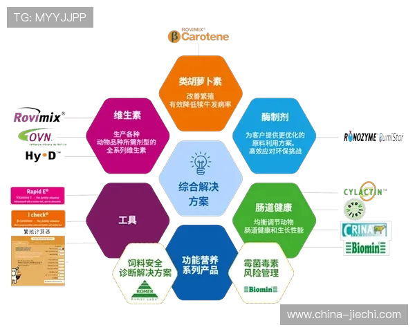 福建浔兴股份强势对阵行业挑战 聚焦创新驱动与可持续发展战略