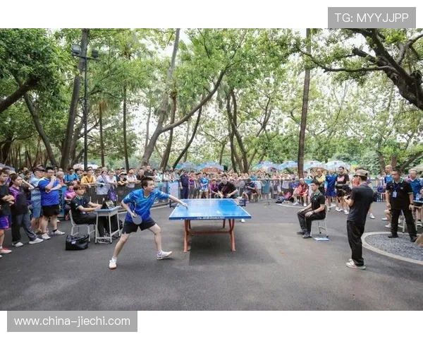 乒乓球专题：深入探讨广州乒乓球队的团队协作与默契配合之道
