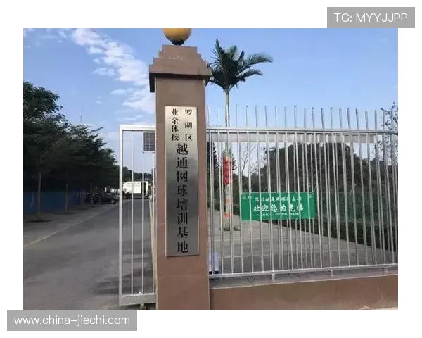 北京网球队运营策略深度分析与未来发展展望