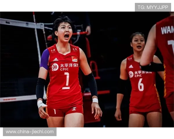 杭州排球队的整体压制革新探索与发展之路的深度剖析与展望