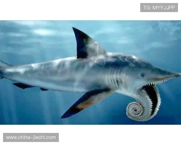 向鱼王者探秘:揭示海洋深处的神秘力量与鱼类之王的传奇人生