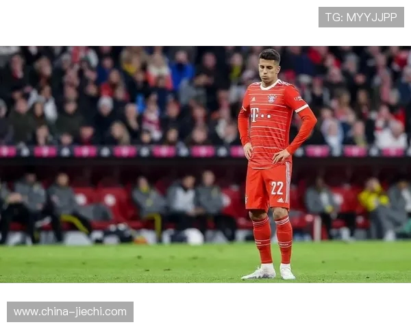 坎塞洛在新赛季的表现分析与未来发展潜力展望